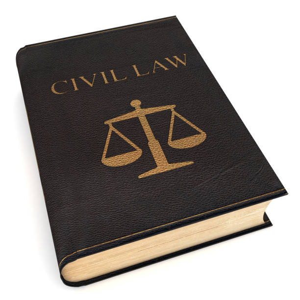 Civil Lawyer