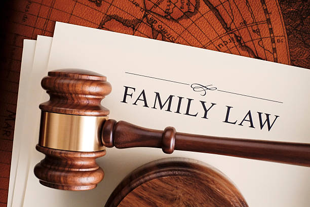 Family Dispute Lawyer